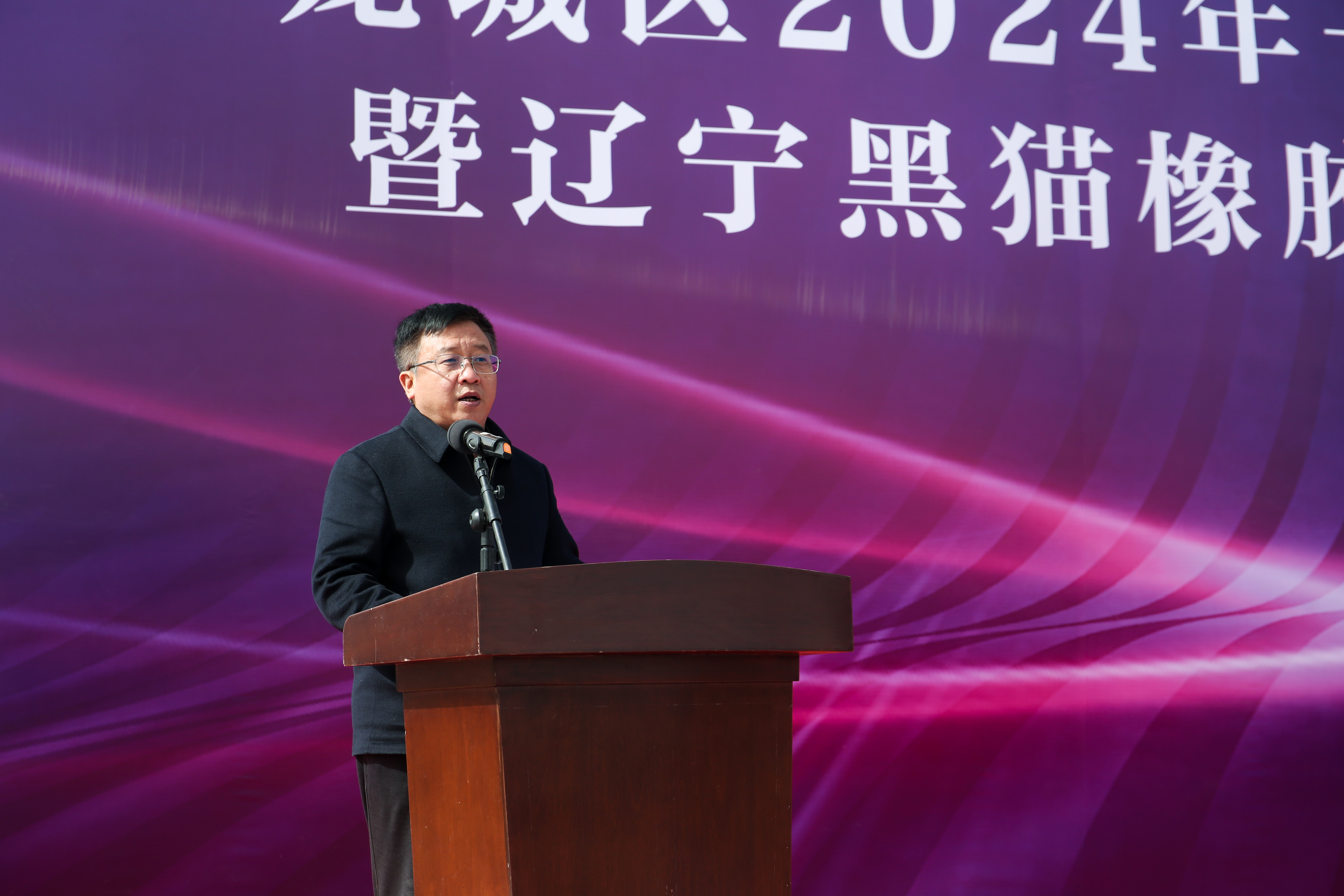 3 景德鎮(zhèn)黑貓集團黨委書記、董事長 汪羽致辭.png